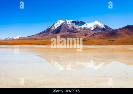 Laguna Canapa ist ein Salzsee in den Altiplano von Bolivien Stockfoto