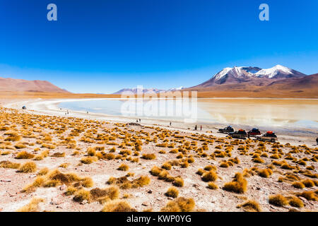 Laguna Canapa ist ein Salzsee in den Altiplano von Bolivien Stockfoto