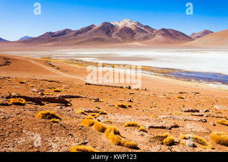 Panoramablick von der Laguna Honda, es ist ein Salzsee in den Altiplano von Bolivien. Stockfoto