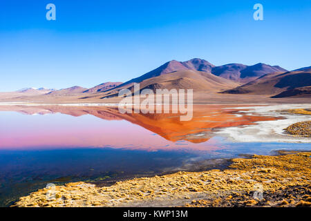 Laguna Colorada, Red Lake ist eine flache Salt Lake im Südwesten des Altiplano von Bolivien Stockfoto