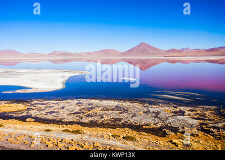 Laguna Colorada, Red Lake ist eine flache Salt Lake im Südwesten des Altiplano von Bolivien Stockfoto