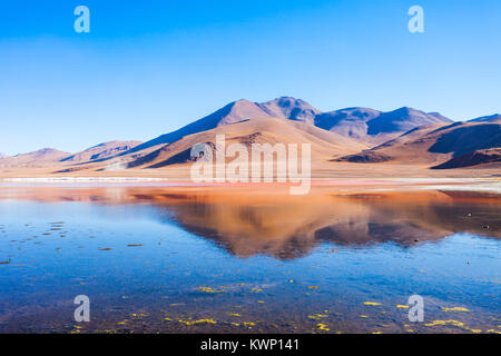 Laguna Colorada, Red Lake ist eine flache Salt Lake im Südwesten des Altiplano von Bolivien Stockfoto