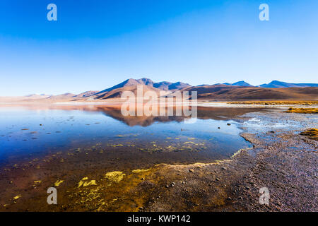 Laguna Colorada, Red Lake ist eine flache Salt Lake im Südwesten des Altiplano von Bolivien Stockfoto