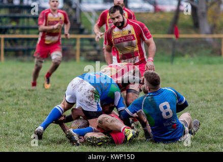 ZAGREB, KROATIEN - 18. NOVEMBER 2017: Rugby-spiel zwischen Rugby Club Mladost und Rugby Club Ljubljana. Rugby Spieler in Angriff zu nehmen Stockfoto