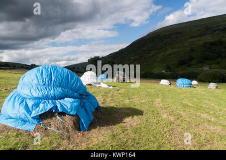 Heuernte im oberen Swaledale in traditioneller Weise, 'Piking', die Heu- und schützt Sie vor dem Wetter und Ernte, wenn vollständig trocknen. Yorkshire Dal Stockfoto