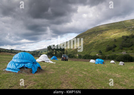 Heuernte im oberen Swaledale in traditioneller Weise, 'Piking', die Heu- und schützt Sie vor dem Wetter und Ernte, wenn vollständig trocknen. Yorkshire Dal Stockfoto