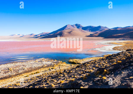 Laguna Colorada (Roter See) ist der schönste See im Altiplano von Bolivien Stockfoto