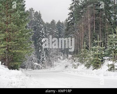 Straße im Winterwald Stockfoto