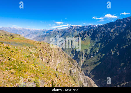 Colca Canyon ist eine Schlucht des Colca River im Süden Perus Stockfoto