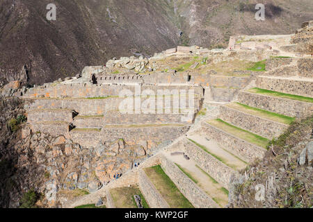 Terrassen von Pumatallis in Ollantaytambo Stadt, im südlichen Peru. Stockfoto