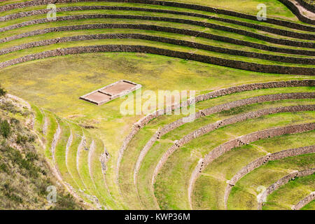 Inca Moray ist ein Landwirtschaftliches Experiment Station, Peru Stockfoto