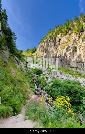 Labe (Elbe) Canyon, Riesengebirge (tschechisch: Riesengebirge, Pol: Karkonosze), Gebirge auf tschechisch-polnischen Grenze, Teil der Sudeten Berge, Centra Stockfoto