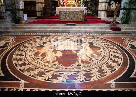 Die Geschichte des Königs David Marmor Mosaik Boden inlay von Pinturicchio in romanischen und italienischen gotischen Kathedrale Metropolitana di Santa Maria Assunta (Si Stockfoto