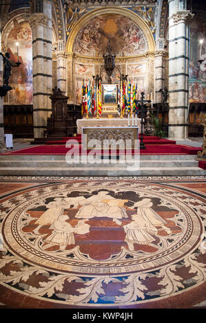 Die Geschichte des Königs David Marmor Mosaik Boden inlay von Pinturicchio in romanischen und italienischen gotischen Kathedrale Metropolitana di Santa Maria Assunta (Si Stockfoto