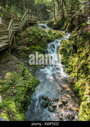 Dixon Bach, Fundy National Park, Bucht von Fundy, New Brunswick, Kanada. Stockfoto