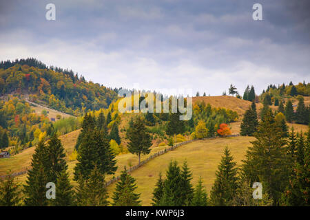 Herbst Landschaft Landschaft mit bunten Wald, Holz Zaun und Scheunen in Prisaca Dornei, Suceava, Bukowina, Rumänien Stockfoto