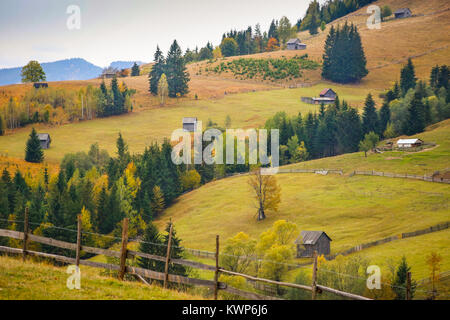 Herbst Landschaft Landschaft mit bunten Wald, Holz Zaun und Scheunen in Prisaca Dornei, Suceava, Bukowina, Rumänien Stockfoto