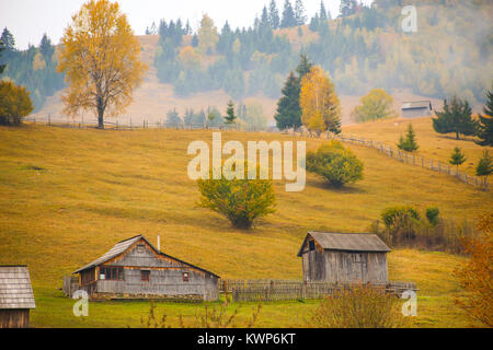 Herbst Landschaft Landschaft mit bunten Wald, Holz Zaun und Scheunen in Prisaca Dornei, Suceava, Bukowina, Rumänien Stockfoto