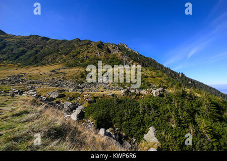 Herbst Landschaft mit Capra Fluss und Fagaras Gebirge an der berühmten transfagarasan Straße in Sibiu, Rumänien Stockfoto