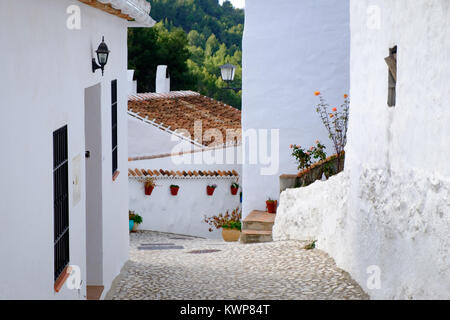 El Acebuchal, ein weißes Dorf oder peublo Blanco, in der Region Andalusien östlich von Malaga. Einmal menschenleer, das Dorf wurde vor kurzem restauriert. Stockfoto