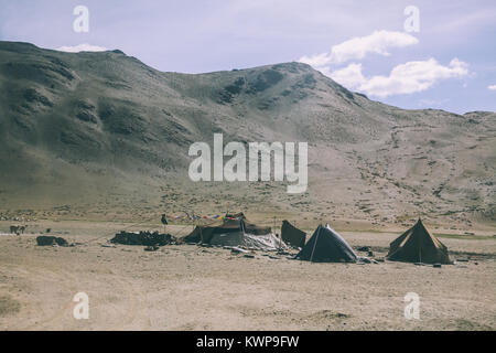 Herde Schafe auf der Weide in den Rocky Mountains und Zelte, indischen Himalaya Ladakh Stockfoto