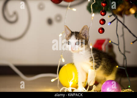 Kleines Kätzchen spielt unter einem Weihnachtsbaum mit Girlanden Stockfoto