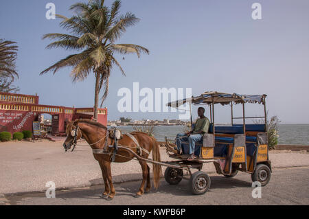 Fahrer und Pferd Warenkorb auf den Straßen von St. Louis, Senegal Stockfoto