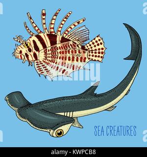Meer Kreatur rot Rotfeuerfische und großen Hammerhai. graviert Hand in alte Skizze gezeichnet, Vintage Style. nautischen oder Marine, Monster oder Fisch. Tiere, die in den Ozean. Stock Vektor