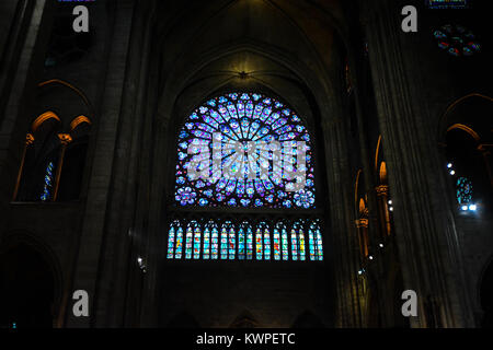 Der Norden Rosette und Spitzbogenfenster auf das Innere der Kathedrale Notre Dame de Paris in Paris Frankreich Stockfoto