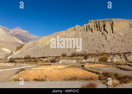 Blick auf kagbeni Dorf im Tal der Kali Gandaki River, Nepal entfernt. Stockfoto