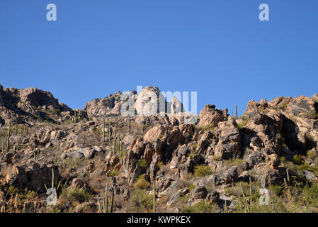 Mendoza Canyon, Coyote Mountains Wilderness Area, Sonoran Wüste, Arizona, USA, Stockfoto