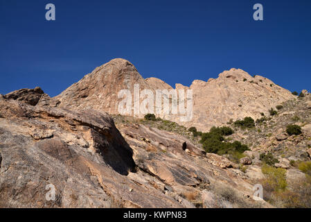 Mendoza Canyon, Coyote Mountains Wilderness Area, Sonoran Wüste, Arizona, USA, Stockfoto