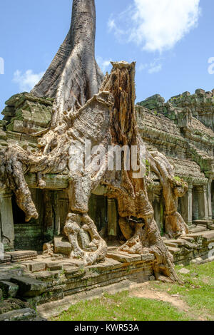 Preah Khan Tempel in der Morgensonne Stockfoto