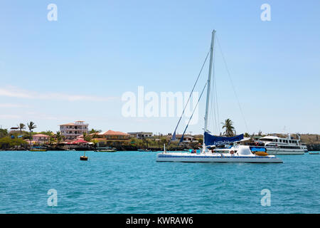 Segelboote im Hafen, Puerto Ayora, Isla Santa Cruz, Galapagos Inseln Ecuador Südamerika Stockfoto