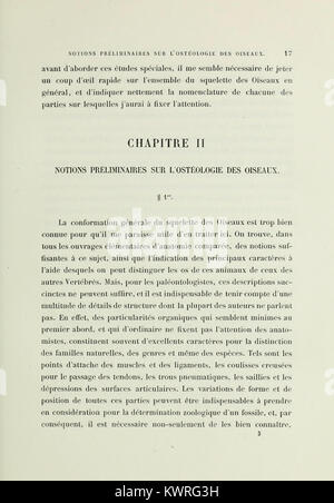 Diese anatomische und paläontologische Forschung konzentriert sich auf fossile Vögel in Frankreich und bietet detaillierte Einblicke in ihre Evolution, Anatomie und das umfassendere Verständnis der Vogelartengeschichte. Stockfoto