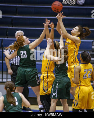 Felsen-Insel, Iowa, USA. 18. Januar 2017. Die Augustana Kaycee Kallenberger (35) Tipps eine Erholung zu einem Mitspieler während der dritten Periode ihres Spiels am Augustana College in Rock Island am Mittwoch, 18. Januar 2017. Augustana besiegte Illinois Wesleyan, 83 / 73. Bildnachweis: Andy Abeyta/Quad-Stadt-Zeiten / ZUMA Draht/Alamy Live News Stockfoto