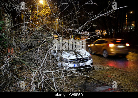 London, Großbritannien. 04. Jan 2018. UK Wetter: Sturm Eleanor brennt Baum über der Straße und Autos, die in East London, UK. Quelle: ZEN-Zaneta Razaite/Alamy leben Nachrichten Stockfoto