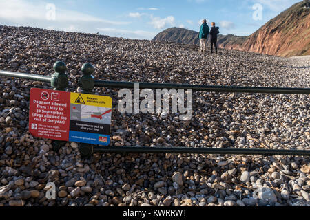 Sidmouth, Devon. 5. Januar 2018. UK Wetter: Geländer am Weststrand von Sidmouth sind fast unter Schiefer begraben, nachdem der Sturm Eleanor abgereist ist. Stockfoto