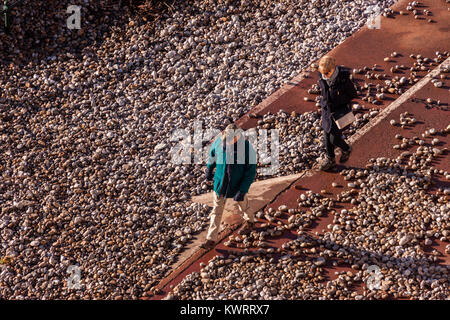 Honiton, Devon. 5 Jan, 2018. UK Wetter: große Kieselsteine aus dem Meer geworfen durch Sturm Eleanor machen Wandern Wanderwege schwierig unter Jacob's Ladder, Sidmouth Credit: Foto Central/Alamy leben Nachrichten Stockfoto