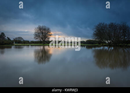 Janesmoor Teich, Fritham, New Forest, Hampshire. Ein ruhiger Tag im Süden von England National Park. Bäume und Wolken in einem Teich bei Antizyklonalen Winter Wetter wider. Stockfoto