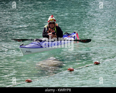 Crystal River, Florida, USA, 5. Januar 2018. Kalte Temperaturen an der Westküste von Florida manatees verursachen (Trichechus Manatus) Tierheim in warmen, geschützten Bereichen wie die Federn bei "Drei Schwestern." Im Allgemeinen ein Mehr einsame Kreatur, Massen der Seekühe, die sich um die 74F Federn weist auch im Winter eco-Touristen in diese normalerweise recht Teil des Staates. Credit: Cecile Marion/Alamy Leben Nachrichten. Person im Kajak, Foto von manatee mit Handy. Stockfoto