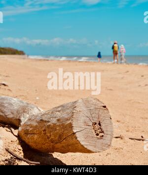 Treibholz an einem tropischen Strand mit Leuten im Hintergrund, Bagal Beach in der Nähe von Townsville, Queensland, Australien Stockfoto