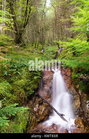 Ein gebirgsbach stolpert über einen kleinen Wasserfall im Wald von clunes Wald, neben dem Great Glen Way, in den Highlands von Schottland. Stockfoto