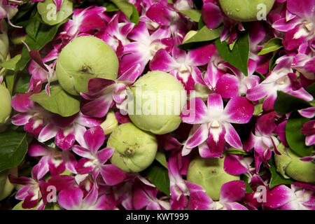 Rosa weiße Orchideen & Lotus Blumen Girlande, die in der buddhistischen Tempel, Bangkok, Thailand. Stockfoto