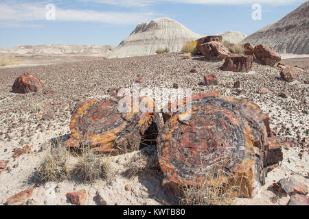 Bausteine der versteinerte Bäume. Petrified Forest National Park, Arizona, USA. Stockfoto