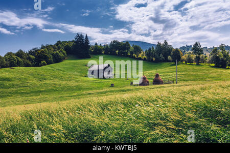 Die traditionelle Bewirtschaftung der Almen in der Maramures Region/Banat, Rumänien, Europa Stockfoto