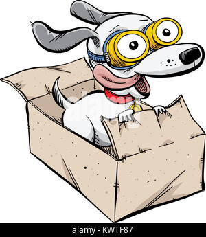 Ein cartoon Hund Flug tragen Schutzbrille, Reiten in einem schnelllebigen Karton. Stockfoto