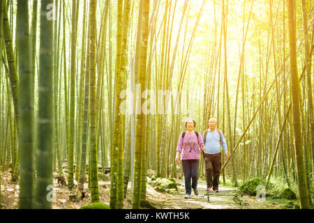 Senior Paar wandern in grüner Bambus Wald Stockfoto