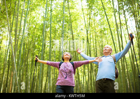 Senior Paar Wandern und Relaxen in grüner Bambus Wald Stockfoto