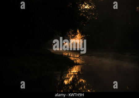 Creek in Morgen mit Nebel Stockfoto